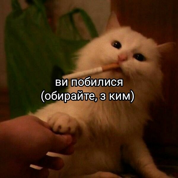 Казутора Ханемія (на ресті) 🇺🇦 tweet media