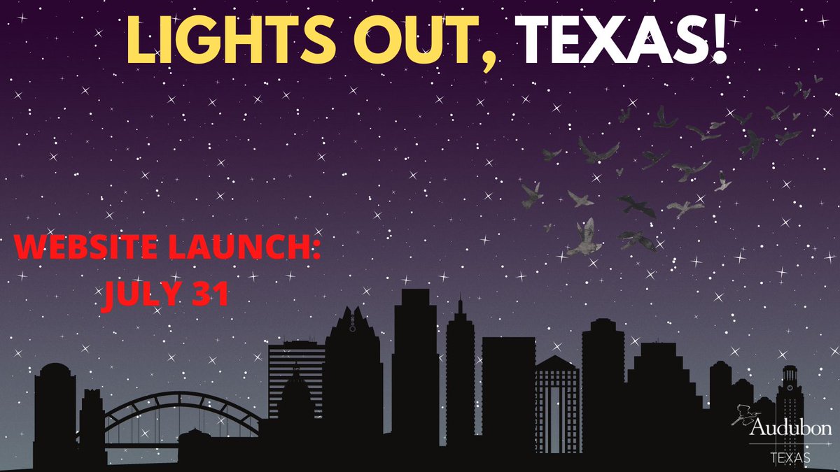 AudubonTX's tweet photo. SAVE THE DATE! Our Lights Out, Texas! website launches on July 31st. Find important information you can use for the upcoming Fall Migration season that begins August 15. #LightsOutTexas #AudubonTexas https://t.co/FehBS1G5hy