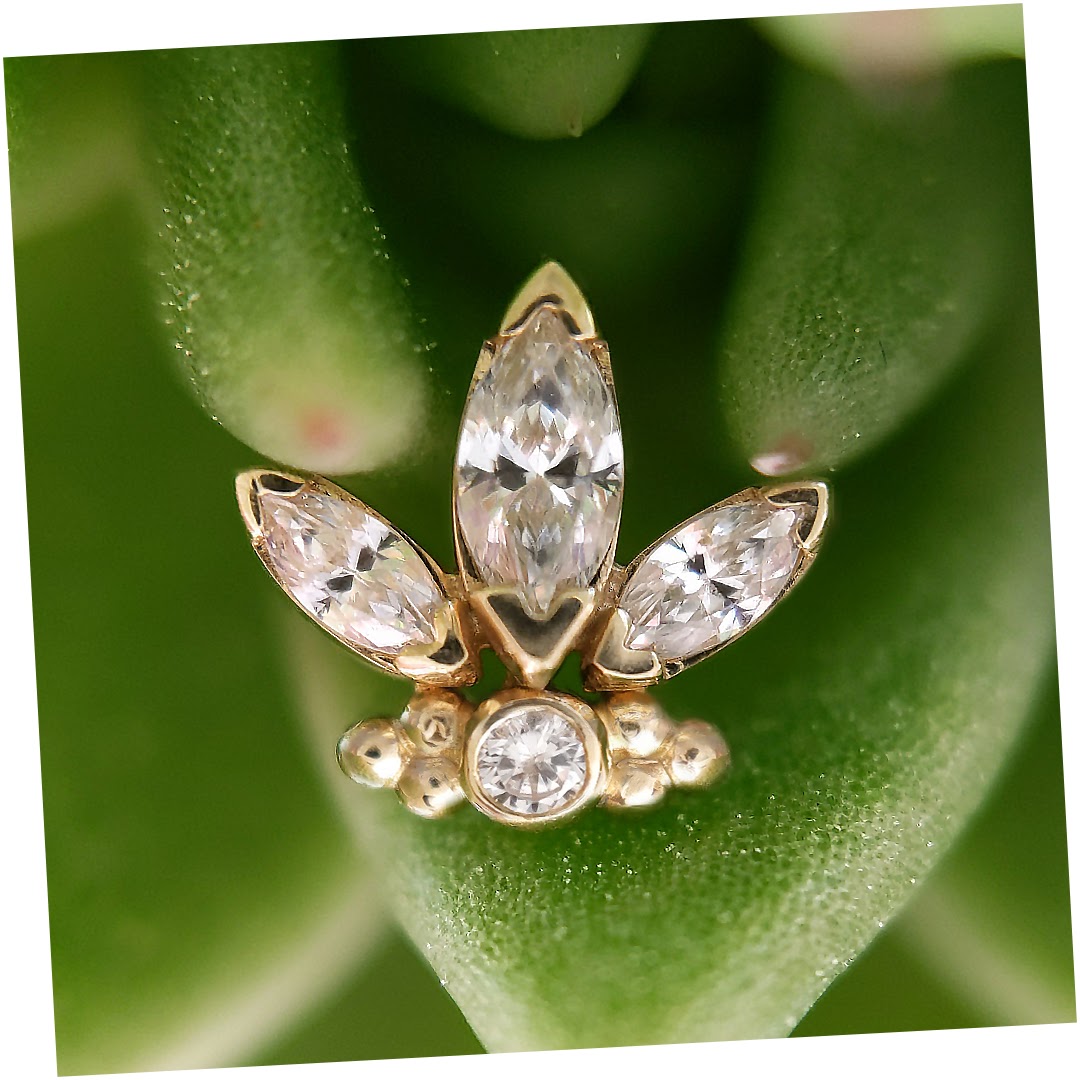 ShopSuwany's tweet photo. 📷 𝑨𝒏𝒏𝒂 • 𝑯𝒐𝒎𝒎𝒂𝒈𝒆 𝑪𝒐𝒍𝒍𝒆𝒄𝒕𝒊𝒐𝒏 • @Leroifinejewellery en Or 14k idéal pour 
#conchpiercing ou #flatpiercing
•
•
•
#earpiercing #piercing #conchpiercing #conch
#flatpiercing #flat #piercingjewelry #leroifinejewellery #earcuration #kahunastudio #cannes https://t.co/g4YYZ0NTqY