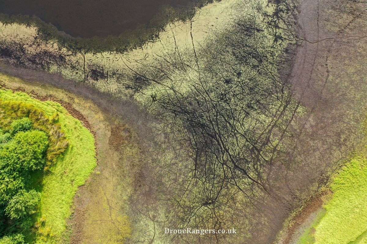 vsdronerangers's tweet photo. Shadows and textures caught during a drone mapping project for Shropshire Council at Brown Moss Countryside Heritage Site https://t.co/sjPhVUTMvI