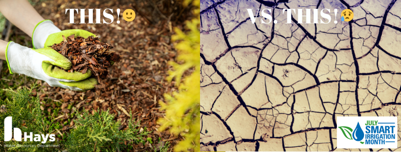 WaterSmartHays's tweet photo. Mulch sure makes a difference in this extreme heat we are experiencing!  It helps to reduce evaporation from the soil, moderate soil temperatures, and reduce weed competition.  #WaterSmartLandscaping #SmartIrrigationMonth https://t.co/1AtG31xQIE