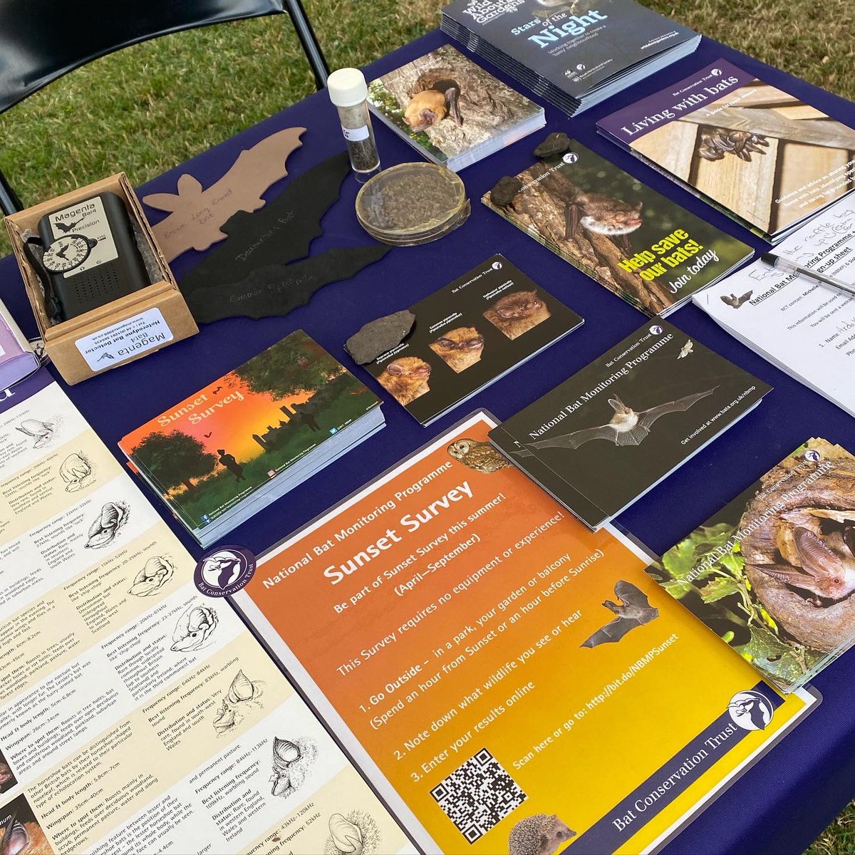 National Bat Monitoring Programme (NBMP) tweet media