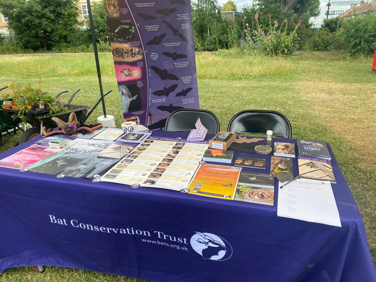 National Bat Monitoring Programme (NBMP) tweet media