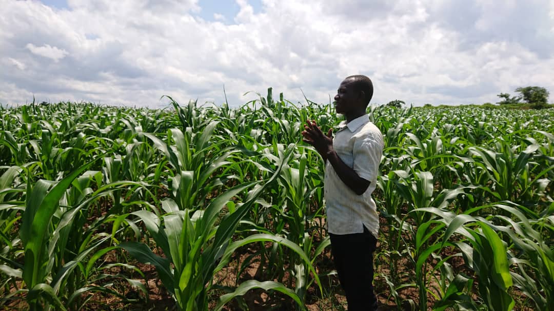 AgilisPartners's tweet photo. As the @UN Secretary General says, young people are drivers of change and must be fully engaged in decisions affecting their future. Agilis is committed to upskilling #youth for employment and agripreneurship. 

#HappyWorldYouthSkillsDay 2022.

#WYSD #WYSD2022 https://t.co/UXvxZwGpIJ