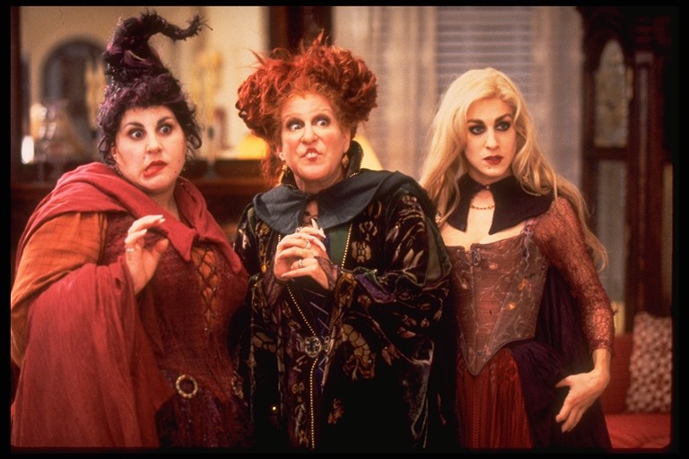 DisneyD23's tweet photo. It's been 3̶0̶0̶ 29 years, right down to the day! Happy anniversary to one of our all-time Halloween favorites, Hocus Pocus! https://t.co/wyVmhnYrvd