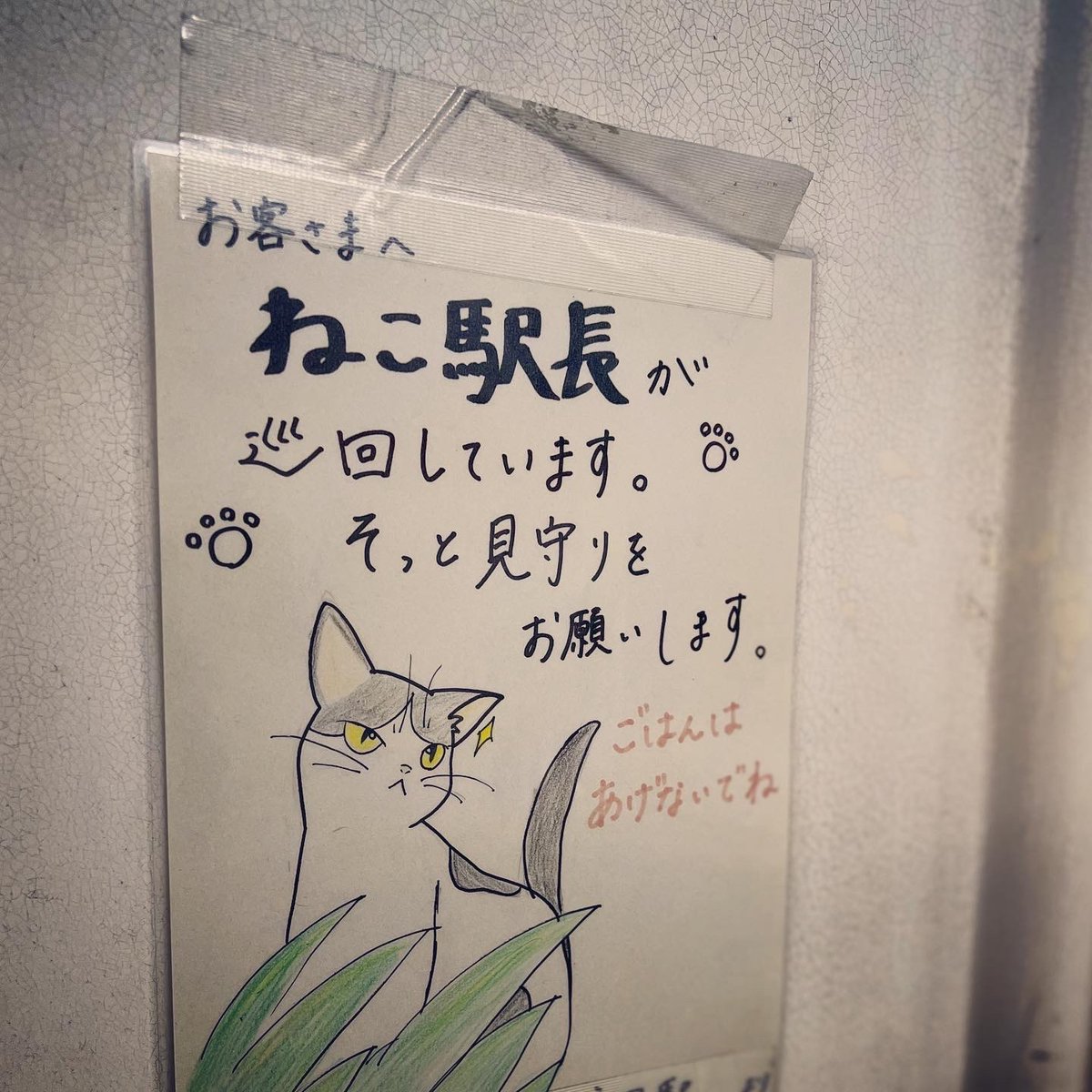 natchang_m's tweet photo. この駅では毎年 #つばめ が巣を作り雛たちを育てている。無事に健康に育ってくれたらと願う。
同じ駅で見つけた貼り紙にも愛を感じました。
#鳥 も #ねこ も人間もしあわせな世の中になるように私は私のできることをしようと思ったのでした。

#ツバメ #鳥 #猫 #ネコ #動物 #愛 #love #愛情 #やさしさ https://t.co/snjgKfqN8X