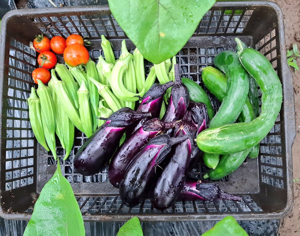 おはようございます🌧️😊
素敵な週末を🌈🐾
Good morning☺️
Have a nice weekend🐶🐾🐶🐾