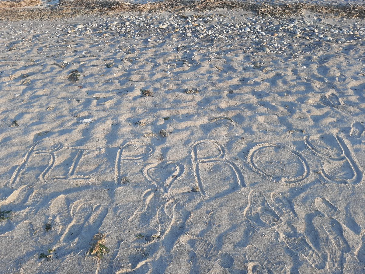 Twilight Doll ASMR ( Mortesin) tweet media