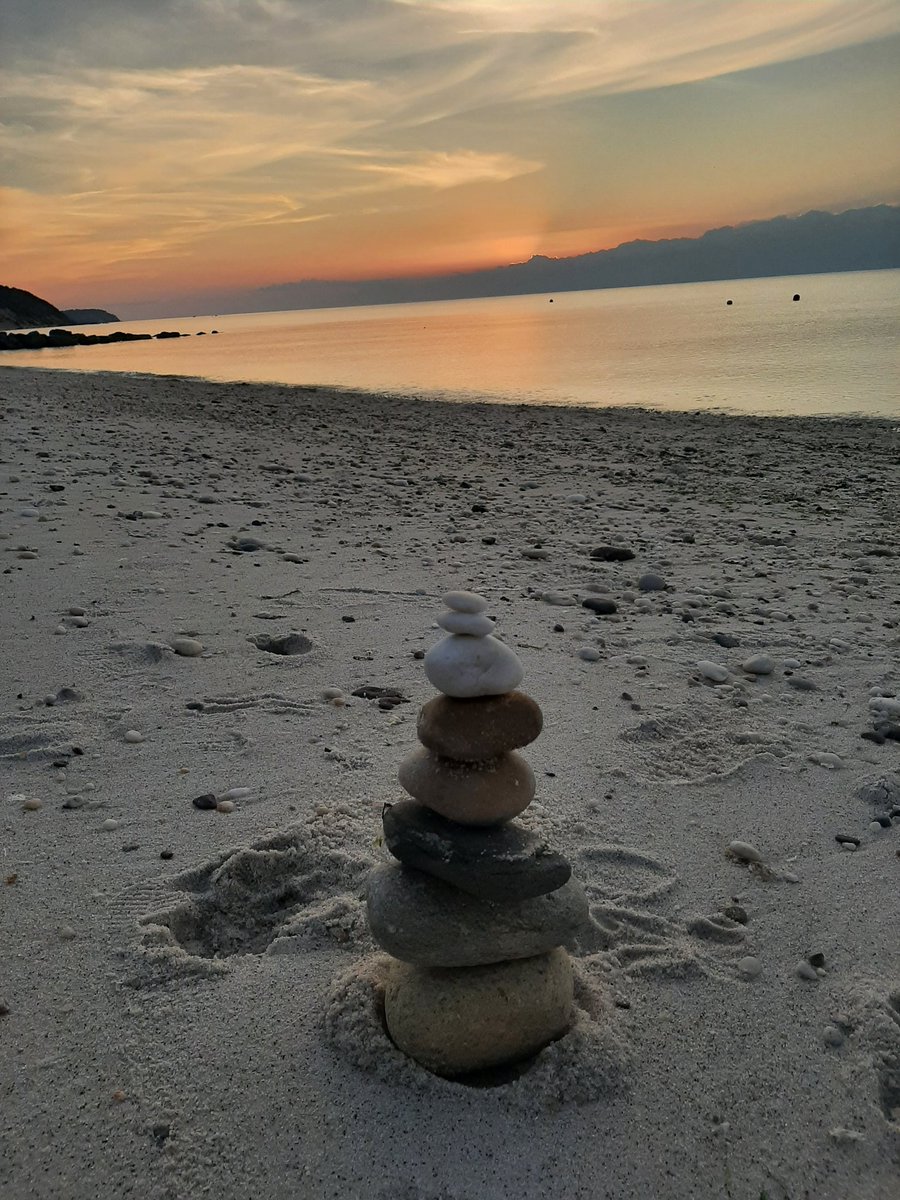 Twilight Doll ASMR ( Mortesin) tweet media