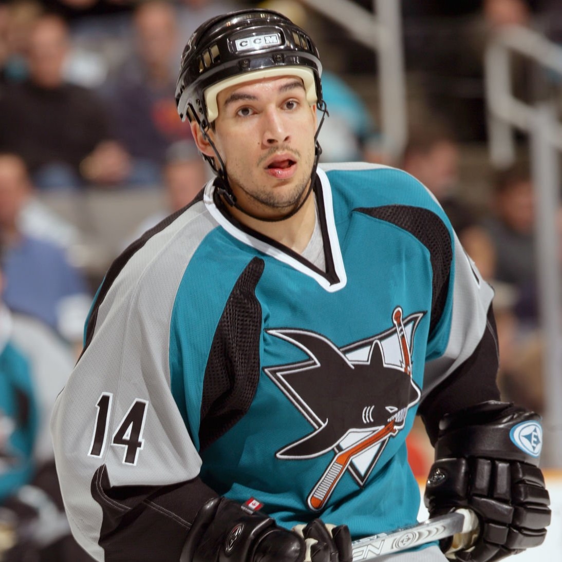 Jordan Cheechoo (@jordanjcheechoo) / X