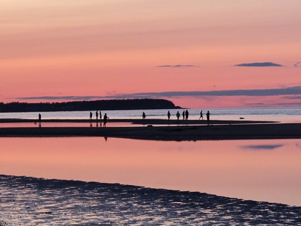 Brun Lab tweet media