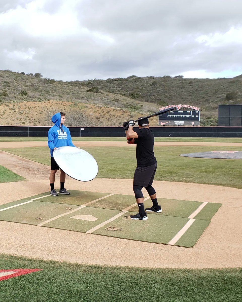 Moyal Enterprises LLC tweet media