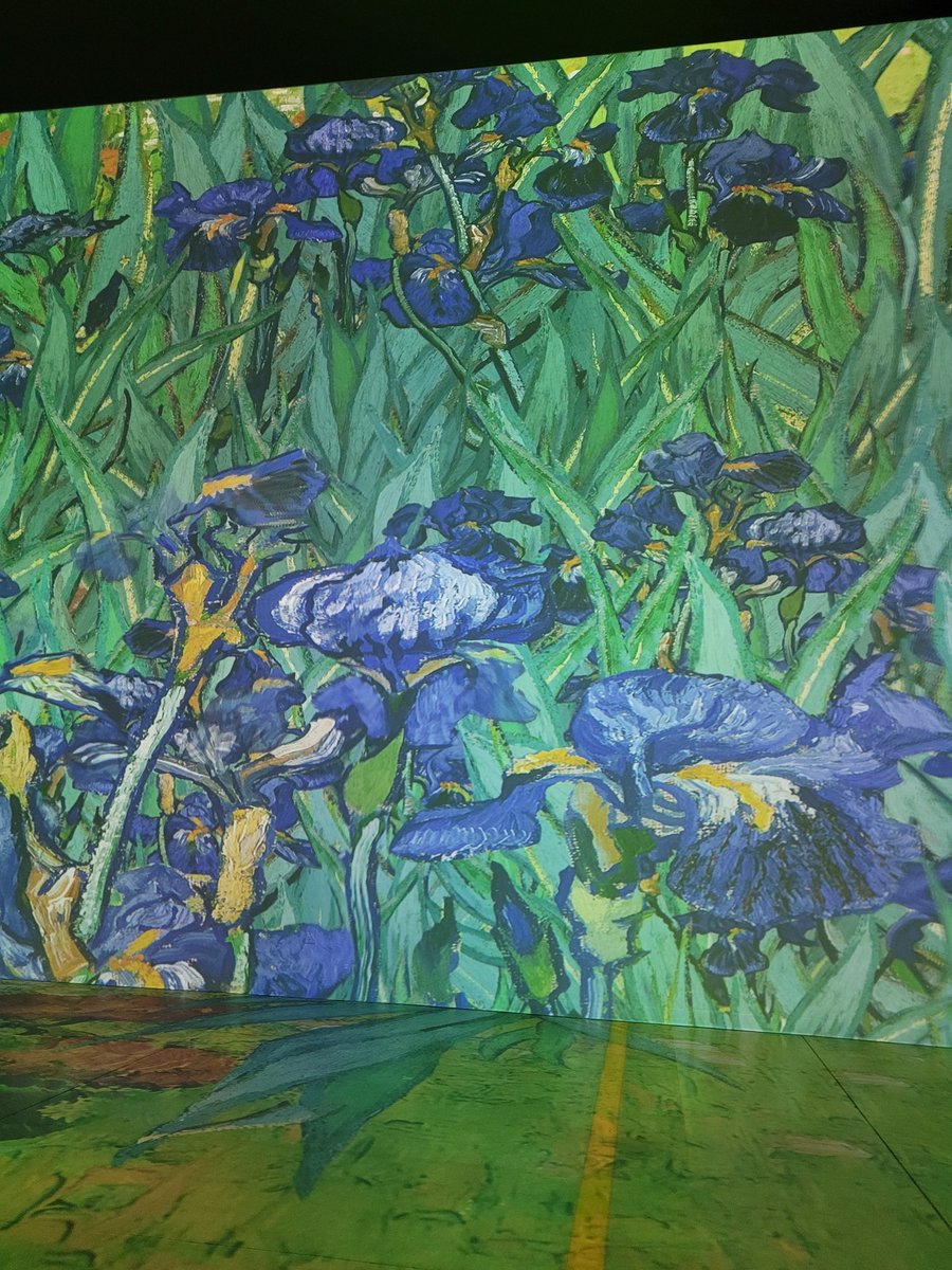 Paula Gouveia tweet media