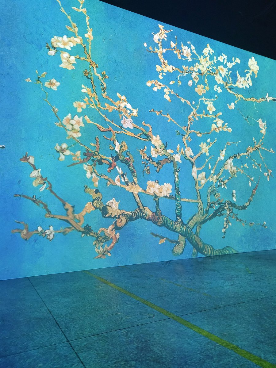 Paula Gouveia tweet media