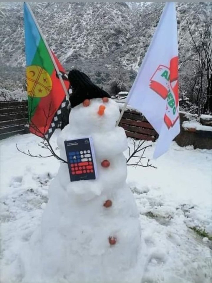 Un blanco invierno que dará paso a la primavera mas hermosa de Chile este 4 de septiembre. ❤
#AprueboFeliz 
#NuevaConstituciónParaChile