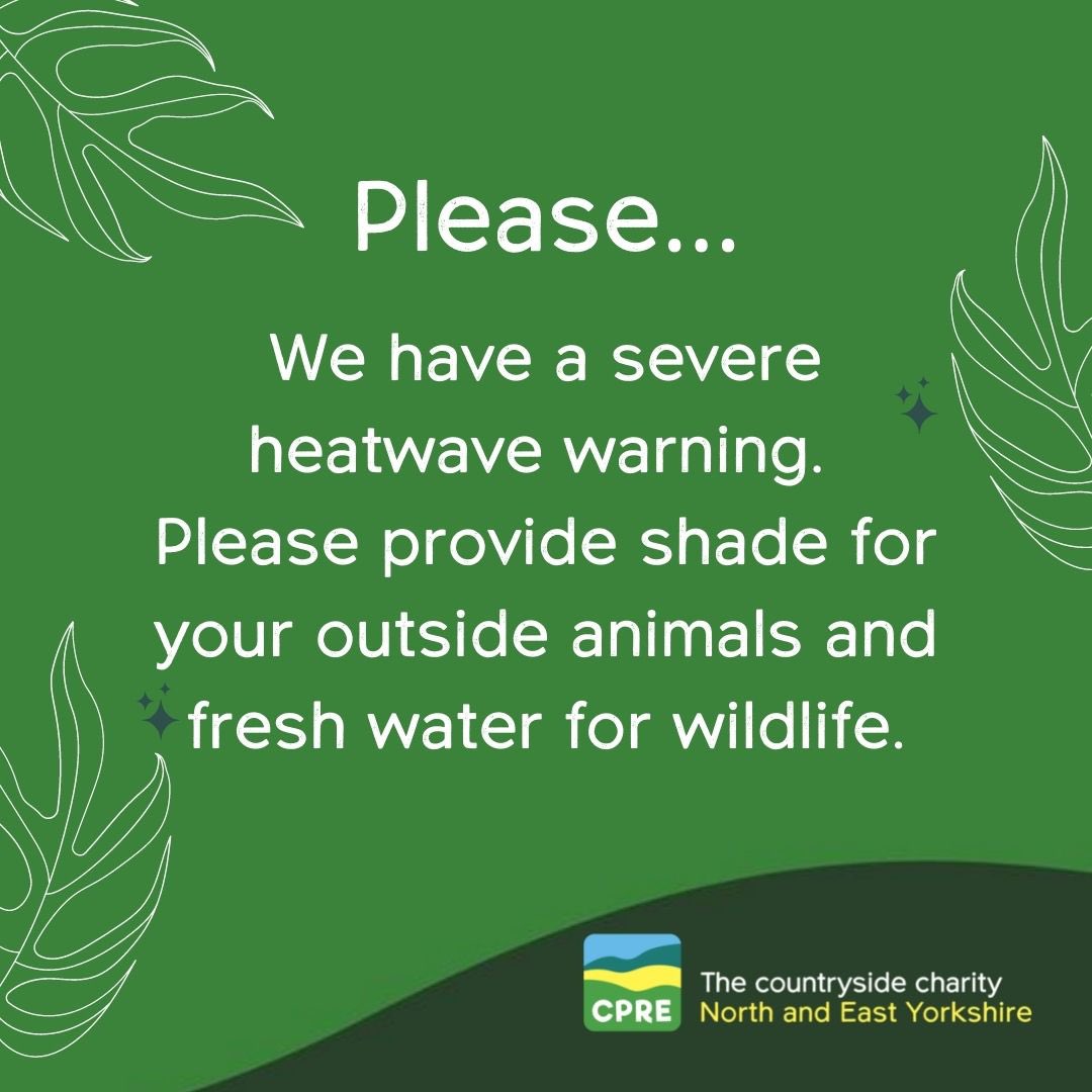 CPRE_NEY's tweet photo. Remember: The most important things you can do for animals in hot weather is to provide them with #rest and #shade in the hottest parts of the day, and plenty of #cleancool #water.
Animal Welfare — it's your duty to care. https://t.co/omqqVGmJSR