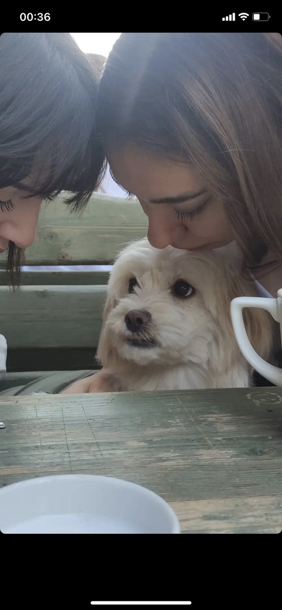 Nolmuş annim batime