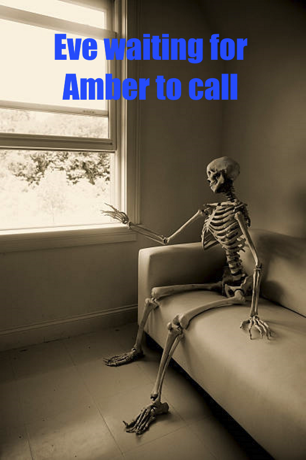 Eve Barlow and Amber Heard, it was fun whilst it lasted... 100% nobody got used!

#AmberHeardIsAGoldDigger 
#EveBarlowIsAJoke 
#JohnnyDeppWonAgain 
#JohnnyDeppKeepsWinning