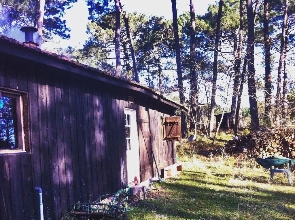 François-Xavier Bodin tweet media