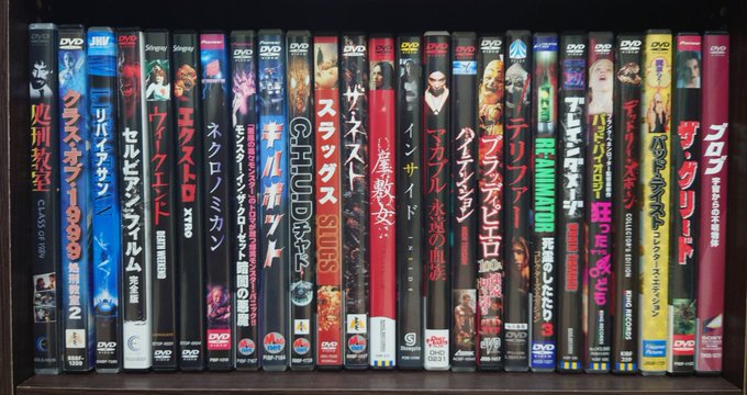 超美品の DVD モンスター・イン・ザ・クローゼット 外国映画 - www