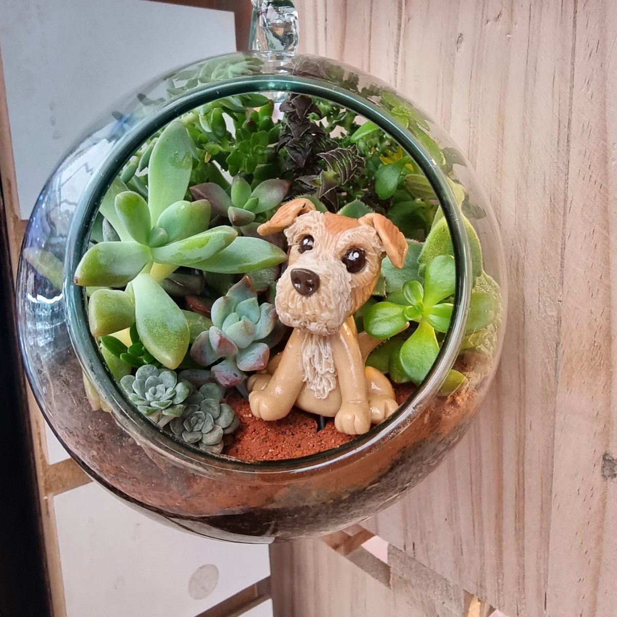 lovesucuart's tweet image. 