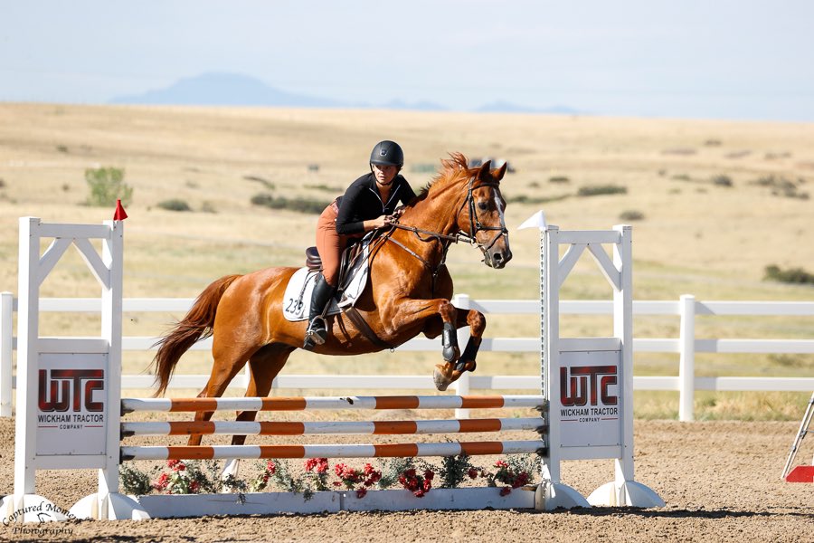 HaleyLagrill's tweet photo. Oh man I’m so happy to be back in the ring showing after five years but holy crap I’m wiped out after 4 days straight of showing and still have two more… happy to be back with my Golden pony💛🐴🌞 https://t.co/OUs405Scxo
