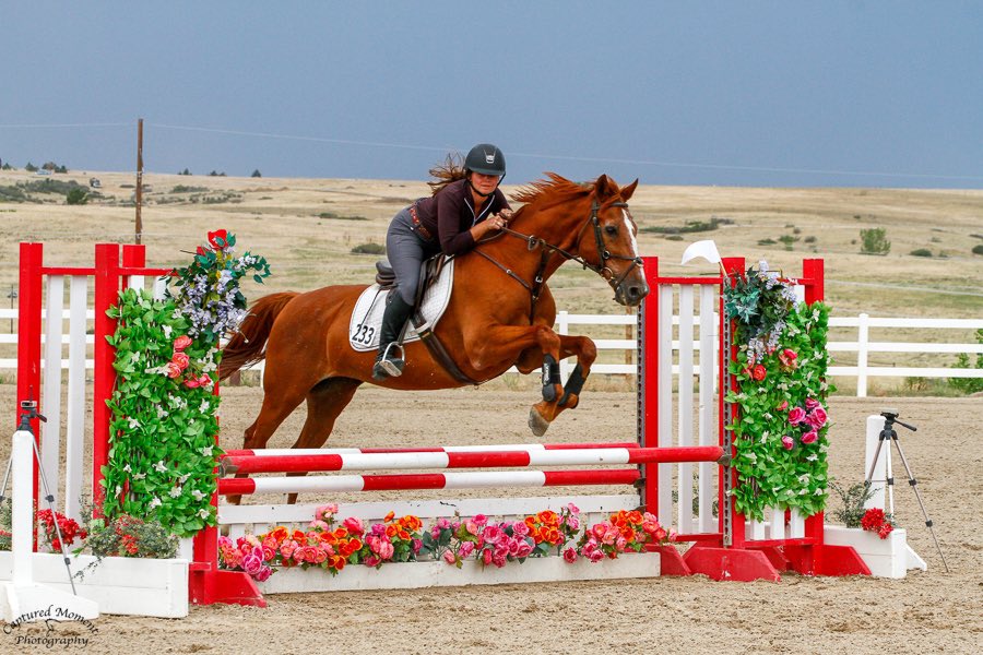 HaleyLagrill's tweet photo. Oh man I’m so happy to be back in the ring showing after five years but holy crap I’m wiped out after 4 days straight of showing and still have two more… happy to be back with my Golden pony💛🐴🌞 https://t.co/OUs405Scxo