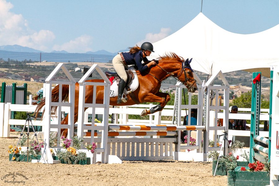 HaleyLagrill's tweet photo. Oh man I’m so happy to be back in the ring showing after five years but holy crap I’m wiped out after 4 days straight of showing and still have two more… happy to be back with my Golden pony💛🐴🌞 https://t.co/OUs405Scxo
