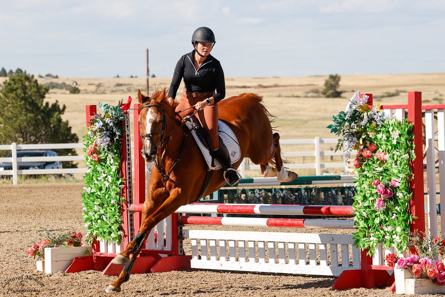 HaleyLagrill's tweet photo. Oh man I’m so happy to be back in the ring showing after five years but holy crap I’m wiped out after 4 days straight of showing and still have two more… happy to be back with my Golden pony💛🐴🌞 https://t.co/OUs405Scxo