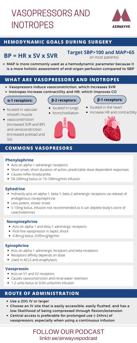 Also check out the infographic for our vasopressor episode!