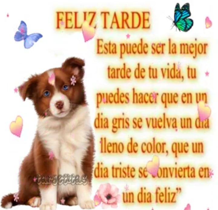 Que tengan bonita tarde