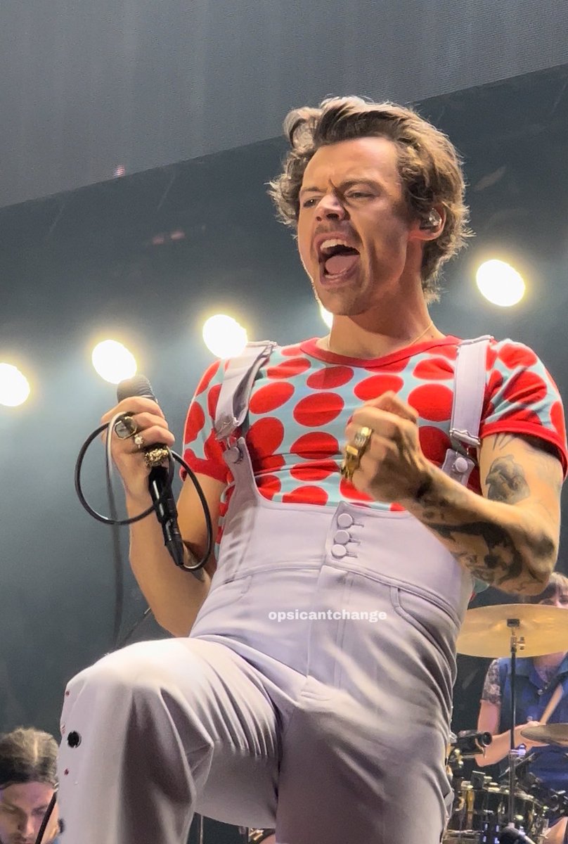 harryIotoutfits's tweet photo. Show N15: Prague, Czech Republic
Wearing: Gucci
#HarryStylesOutfits
#LoveOnTourPrague
#harrystylesprague ❤️💙
©️: owner https://t.co/N2zot375nK