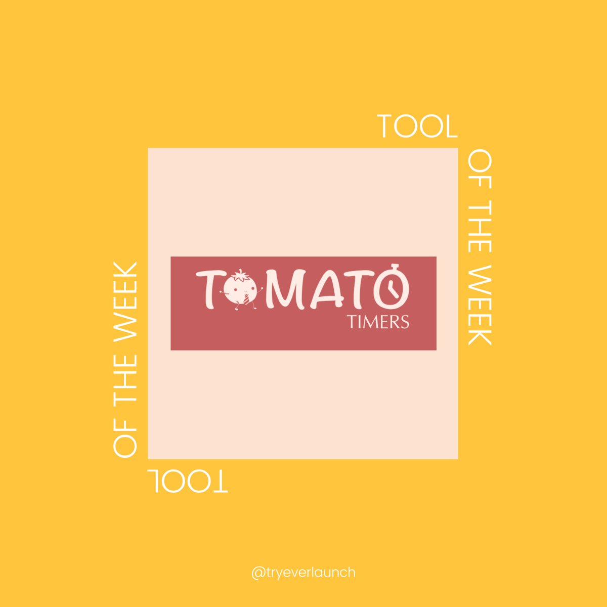 everlaunch tweet media