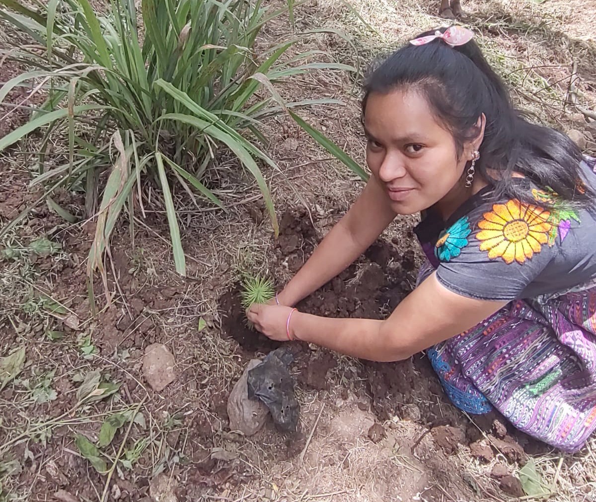 inabguatemala's tweet photo. Junto a la Asociación de Mujeres Indígenas para el Desarrollo Integral #AMIDI, del municipio de San Martín Jilotepeque en #Chimaltenango, realizamos una reforestación en la cual plantamos 600 árboles, en un área desprovista de cobertura forestal.
#RegiónV #INABSembrandoHuella https://t.co/bovxiPIkJ0