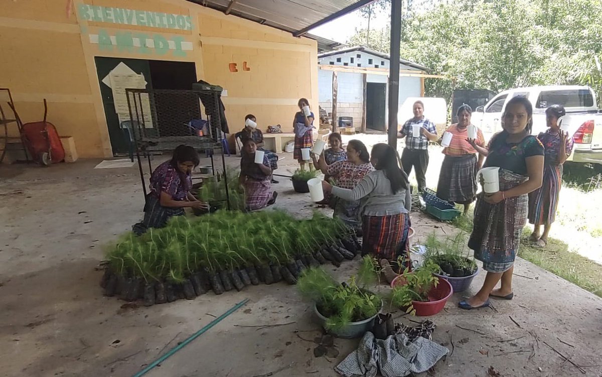 inabguatemala's tweet photo. Junto a la Asociación de Mujeres Indígenas para el Desarrollo Integral #AMIDI, del municipio de San Martín Jilotepeque en #Chimaltenango, realizamos una reforestación en la cual plantamos 600 árboles, en un área desprovista de cobertura forestal.
#RegiónV #INABSembrandoHuella https://t.co/bovxiPIkJ0