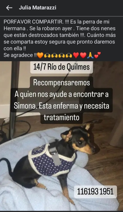 jimenadequilmes's tweet photo. MÁXIMA DIFUSIÓN!!!🚨💞 SIMONA DEBE REGRESAR CON SU FAMILIA LO ANTES POSIBLE!!!🙏😢💓 Desde ya, muchas gracias!!!🐶🤗❤️ #Quilmes #Ribera #PerraRobada #GenteRota #NoAlMaltratoAnimal https://t.co/jhNSldenOF