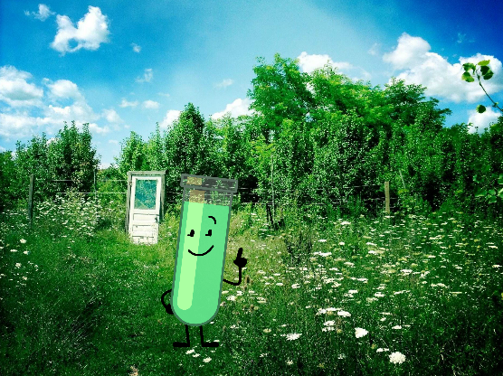 liminalobjects's tweet image. 