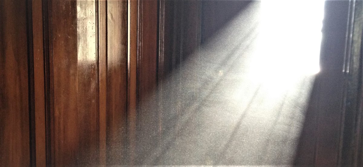 #CaseStudy: Lead Dust Breaching Containment

Problem:
Homeowner had concerns that the lead abatement occurring on the property was done improperly due to the lead dust breaching the containment.

Full case study: indoorscience.com/who-we-serve/r…

#IAQ #IH <a href="/IAQnerd/">Ian Cull</a>