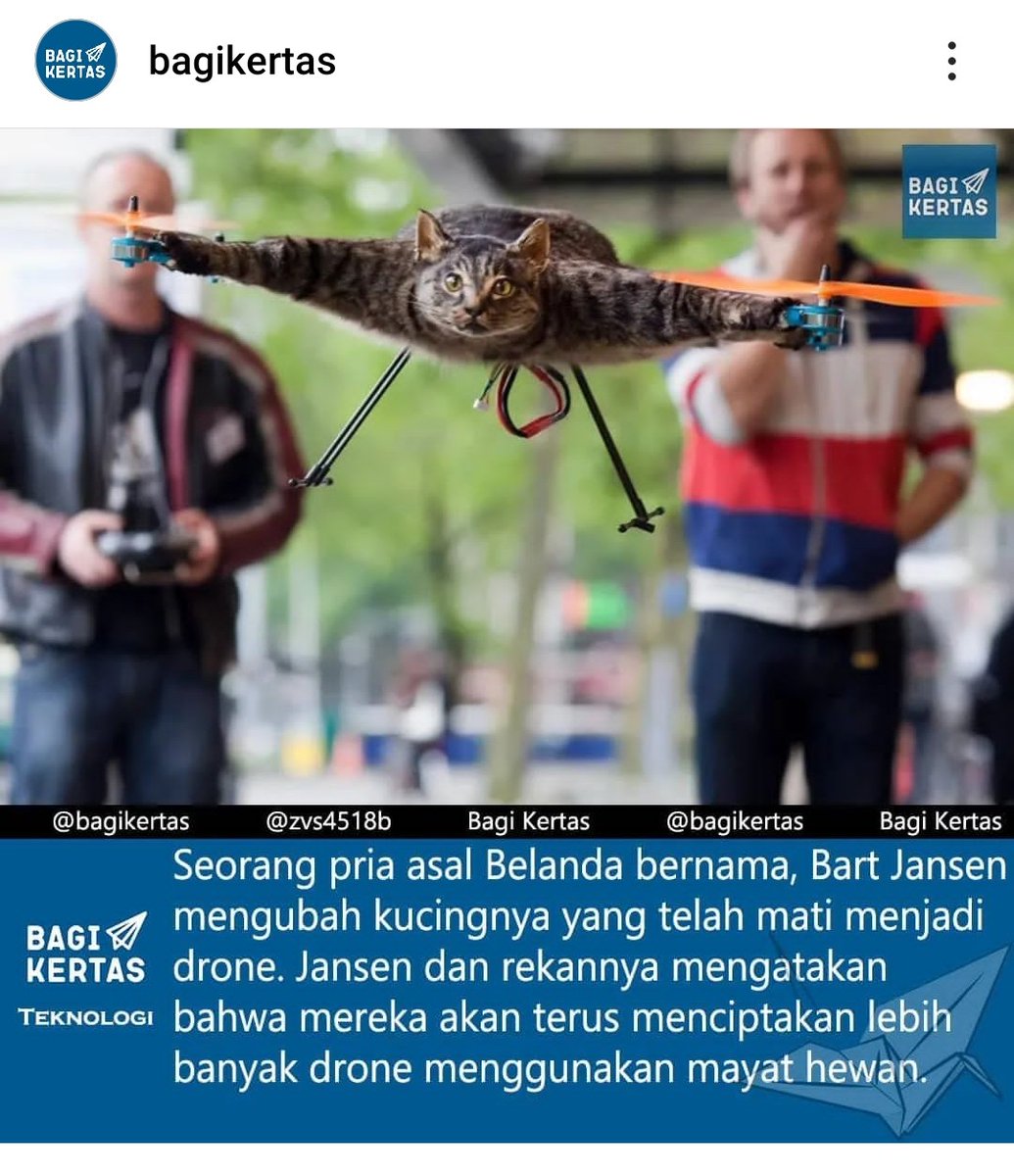 ⚠️ Tega bgt ownernya 😭 😭 
🐈 ⚠️