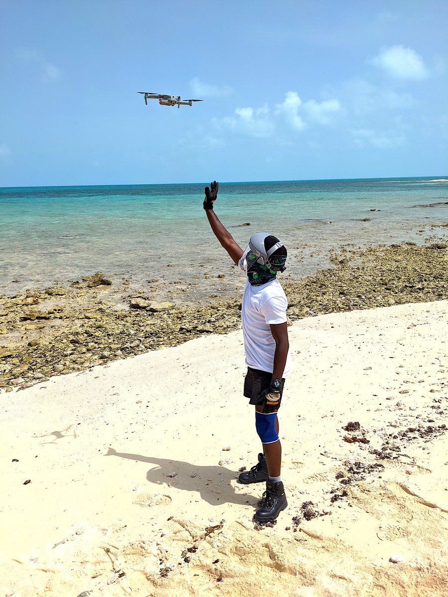 TCI Seabirds tweet media