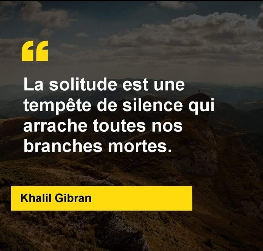 Smis Twitter Search Twitter