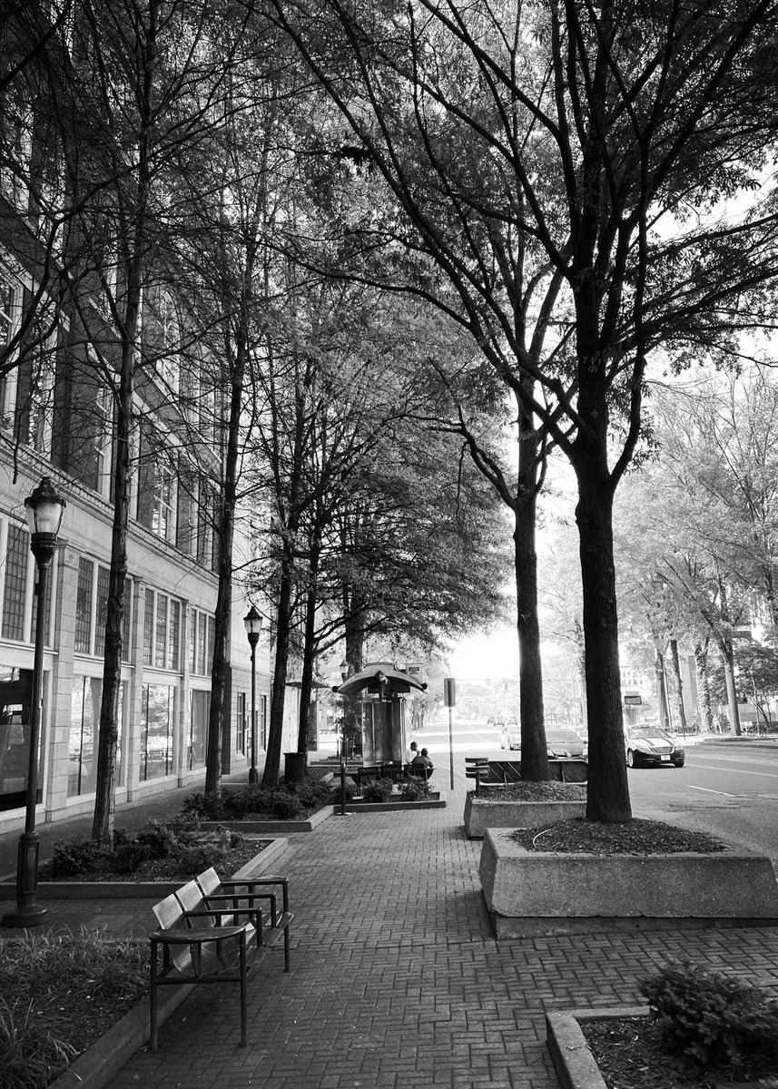 👁️‍🗨️Captain Ballzonia 🏴‍☠️ tweet media