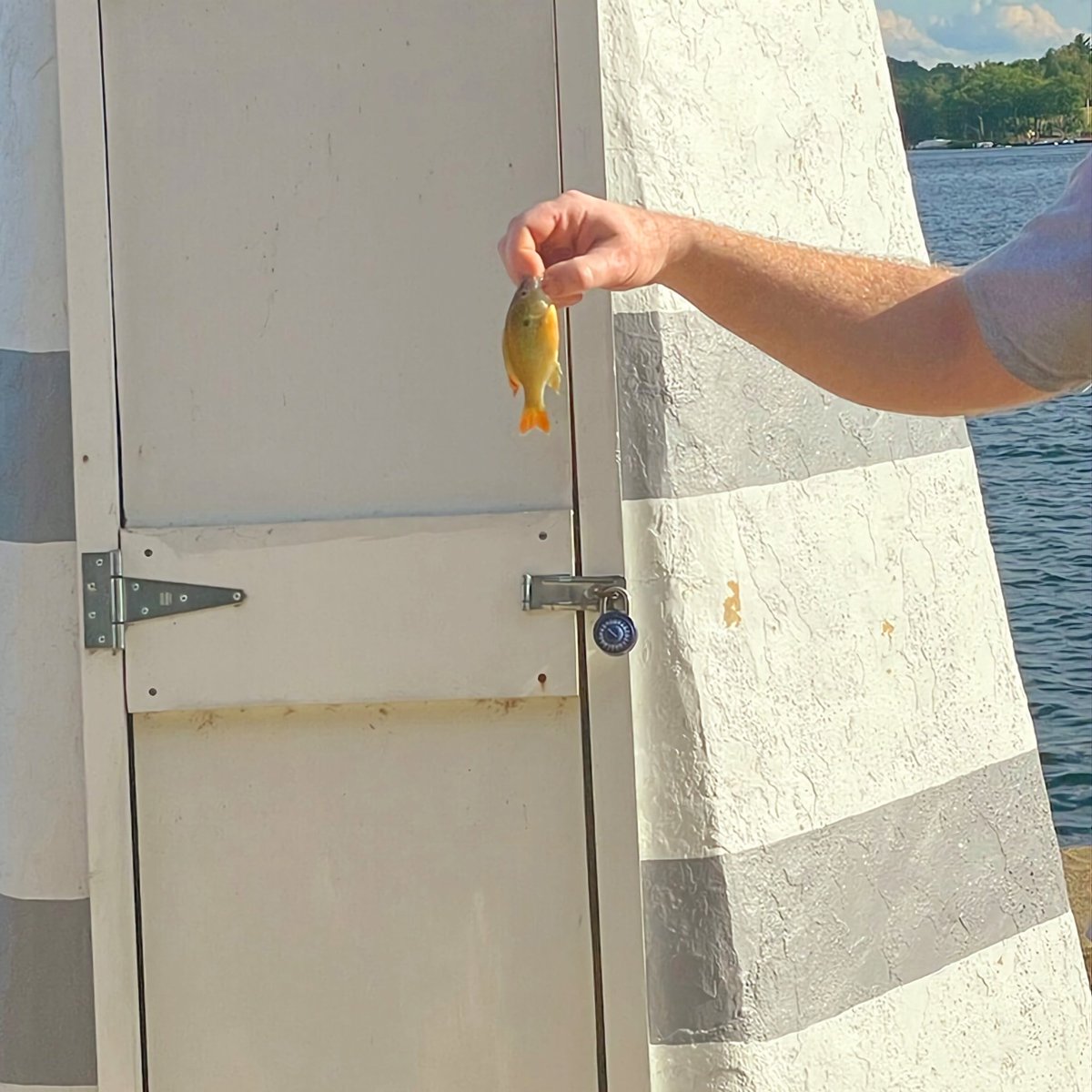 pauldrewry's tweet photo. One drawback of having Donyell-sized mitts: Even New Hampshire State Record lunkers look small in our hands. 🎣 #fishfordinner #uconn #hungryhuskies https://t.co/iYbVZCBBbk