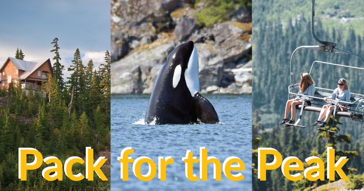 TourismMW's tweet photo. Looking for big accommodation value for your family getaway, with some even bigger outdoor adventure opportunities? Choose Mount Washington to experience ZipTours to hiking, plus epic marine wildlife tours and more, only a short drive away. #MyMW FMI: https://t.co/jbomRQx9eL https://t.co/PLQo7zP6Vk