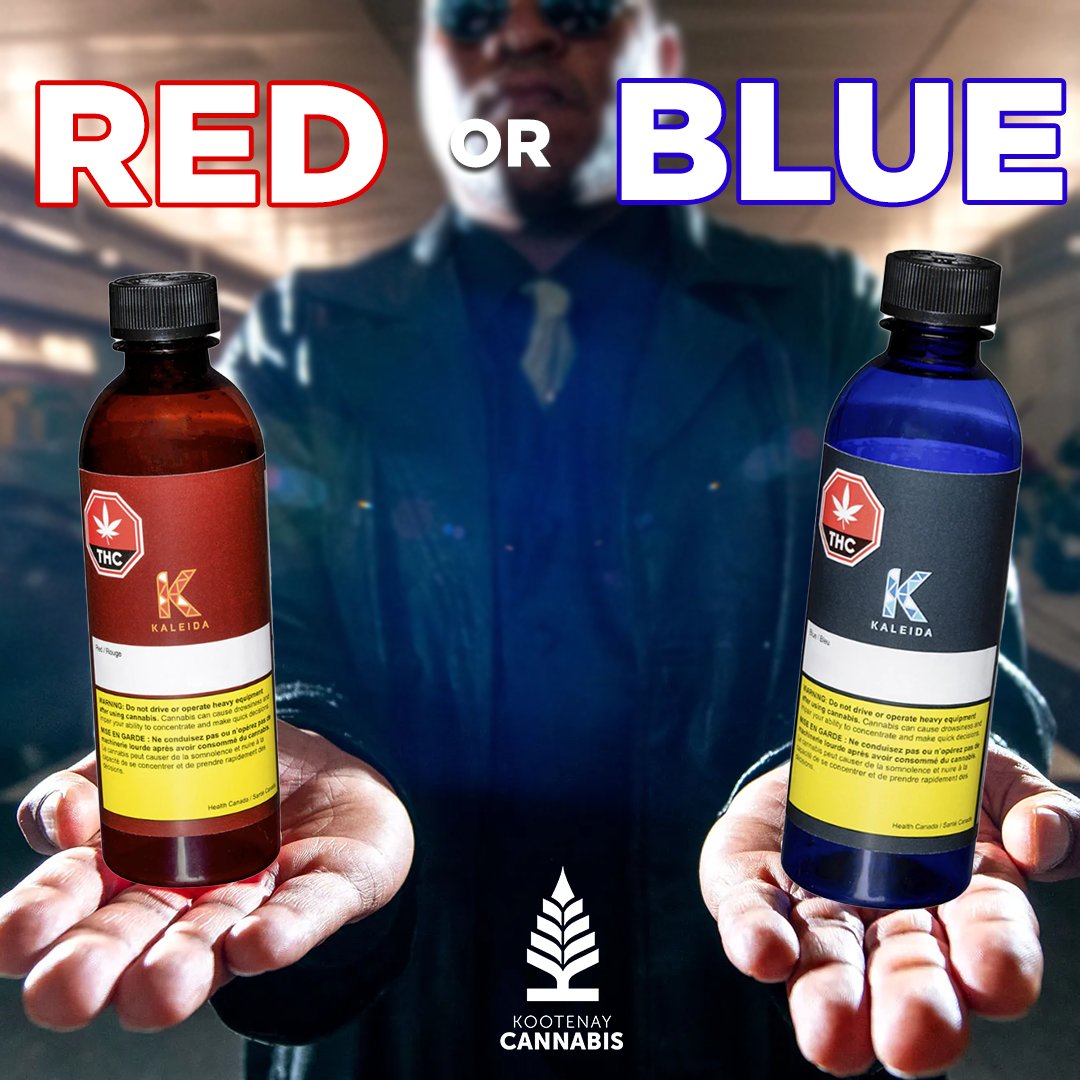 KootCannaNF's tweet photo. We are now carrying Red (Fruit Punch) and Blue Blue Raspberry) by Kalieda 🔥 Which one will you choose?! 🔴🔵 https://t.co/xwn3YfxXmO