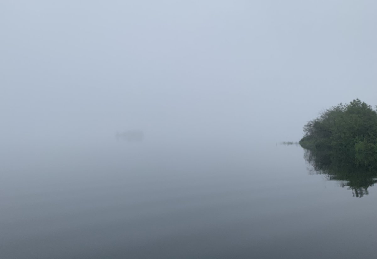 A bit foggy on the morning commute.