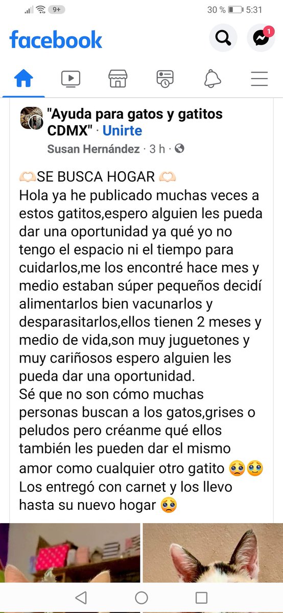 Mexico_Libre9's tweet photo. ¿Los ayudamos? https://t.co/657bfLhVe4 https://t.co/TGVJDKEczs