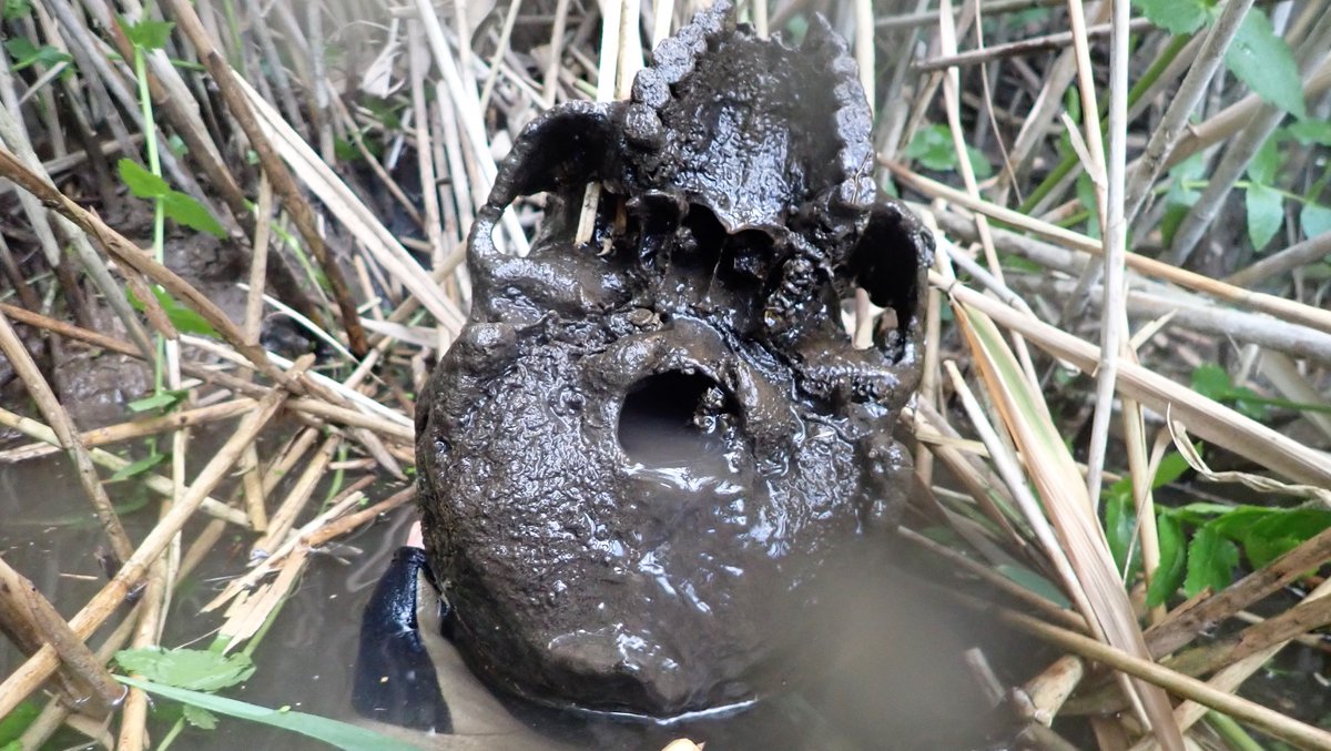 numenini's tweet photo. Had to wait for @NorfolkPolice to arrive (#PS1155 & #PC2000 came soon from #DownhamMarket) to help retrieve it. Not pleasant having to dive back in, fish it out & hand it up to them. They cheered me up! Skull was someone's who died LONG ago, maybe centuries. Gone to forensics 2/5 https://t.co/2AXvQpod9g
