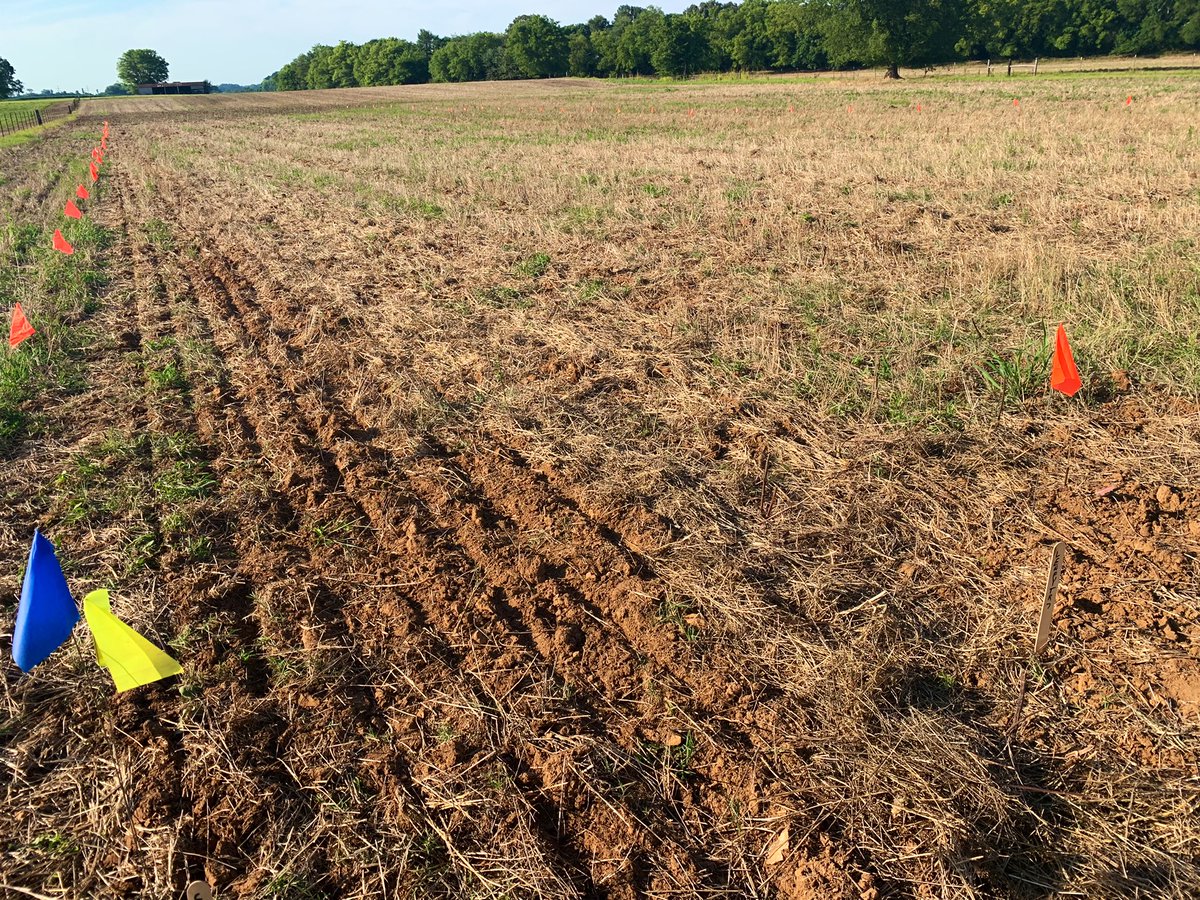 David Russell tweet media