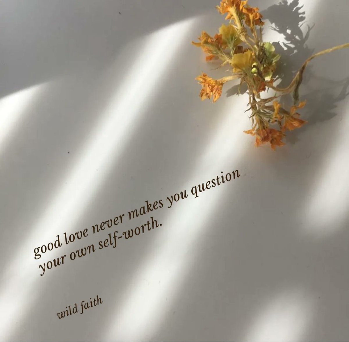 PoemHeaven's tweet photo. pure love. https://t.co/LfZP6kPf2T